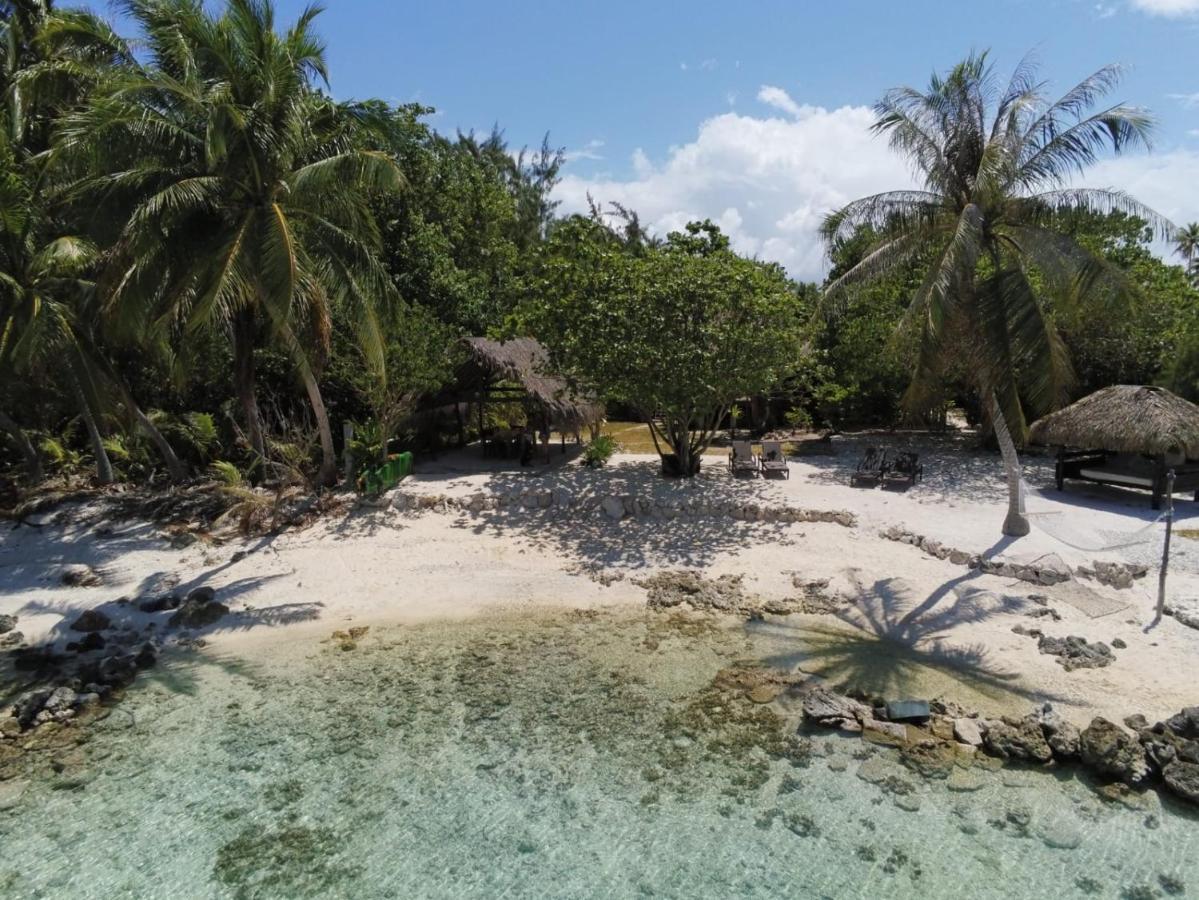 Le Coconut Lodge アヴァトル エクステリア 写真