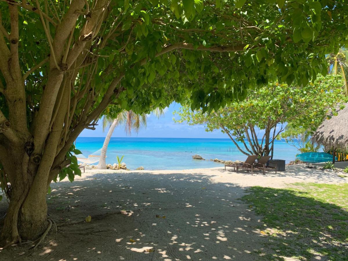 Le Coconut Lodge アヴァトル エクステリア 写真