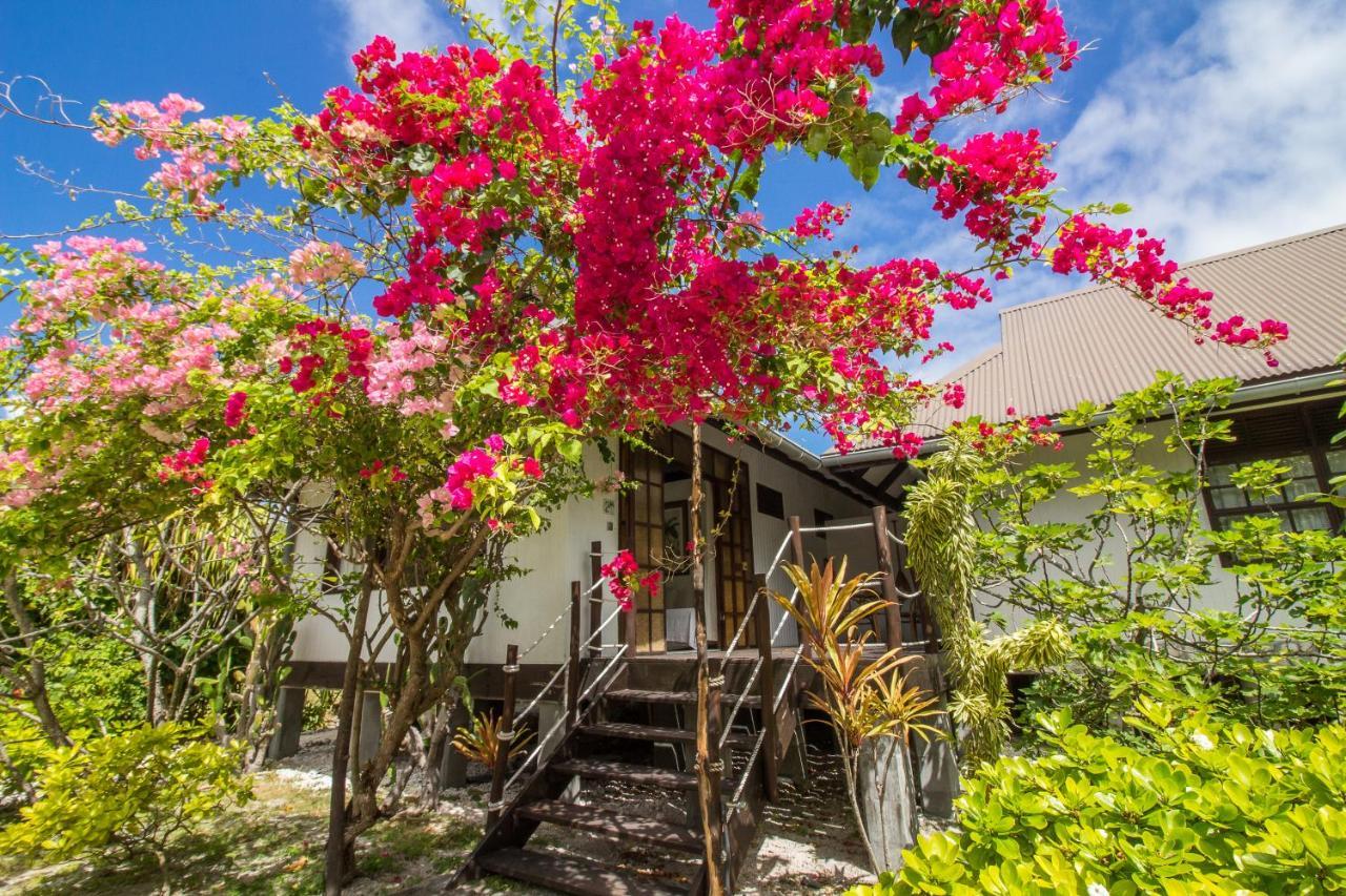 Le Coconut Lodge アヴァトル エクステリア 写真