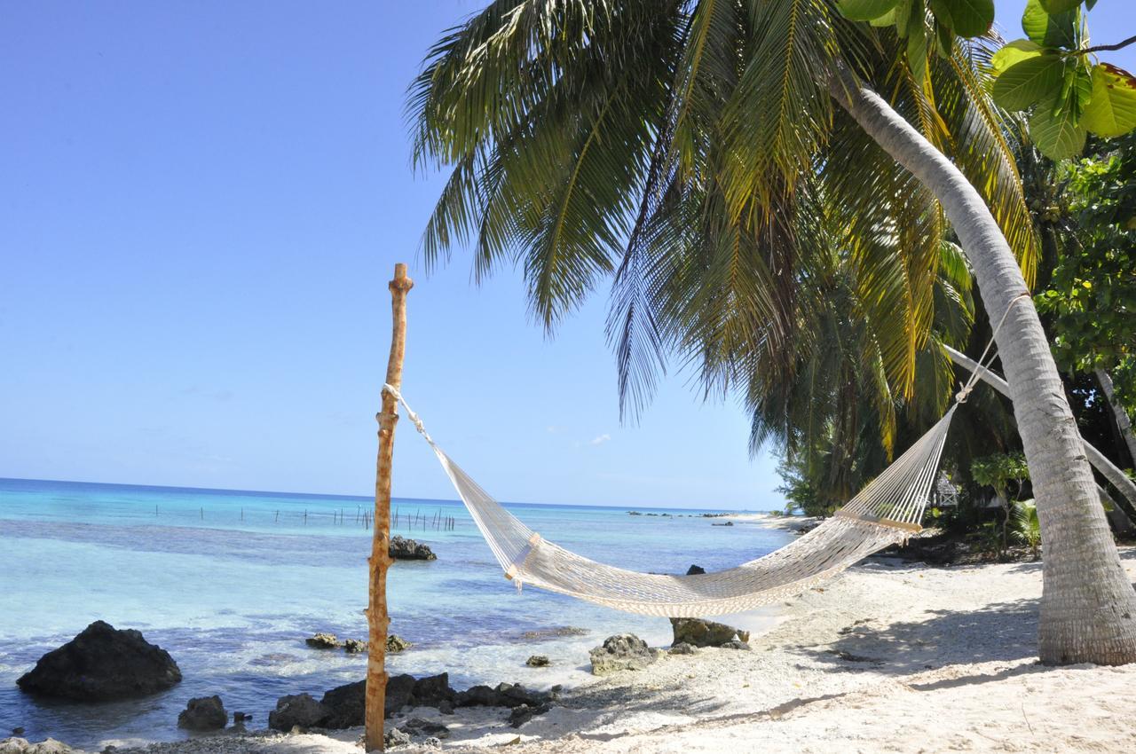 Le Coconut Lodge アヴァトル エクステリア 写真