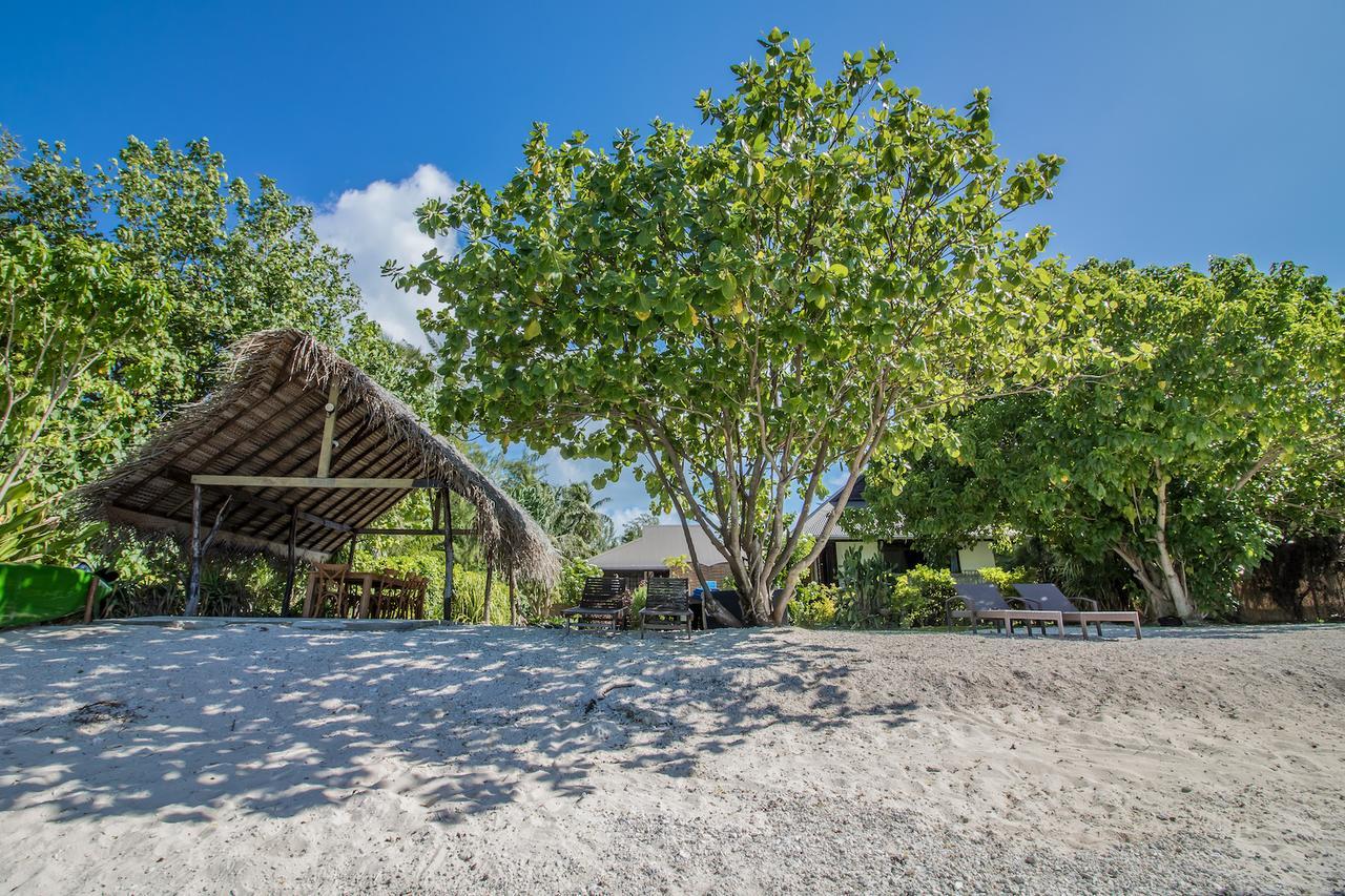 Le Coconut Lodge アヴァトル エクステリア 写真