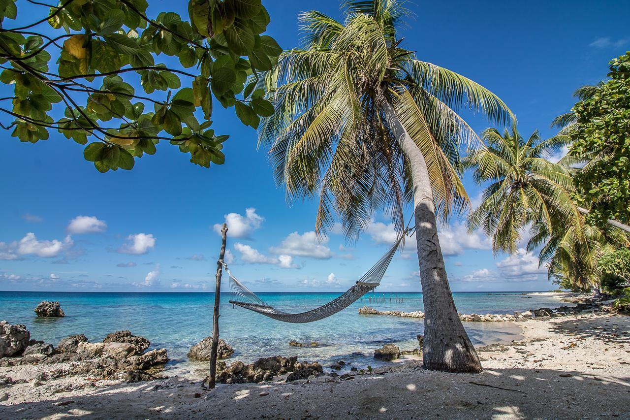 Le Coconut Lodge アヴァトル エクステリア 写真