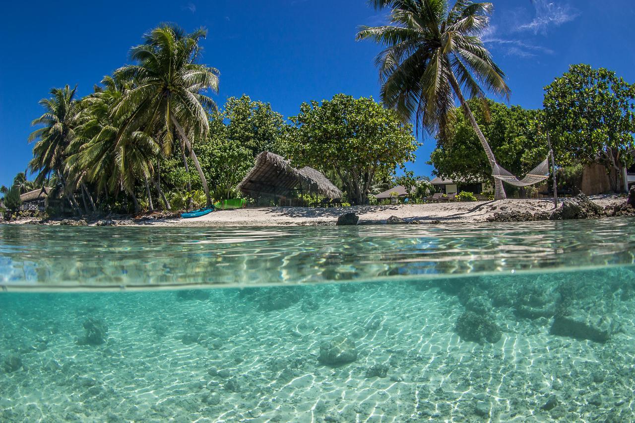 Le Coconut Lodge アヴァトル エクステリア 写真